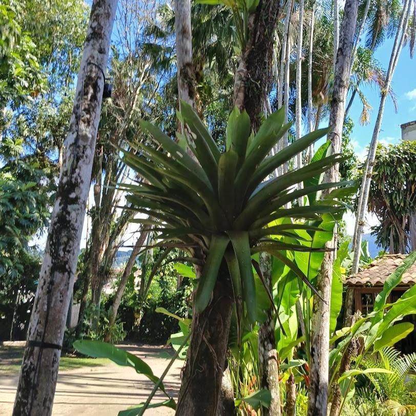 Villa Dos Passaros Paraty Hospedagem 외부 사진