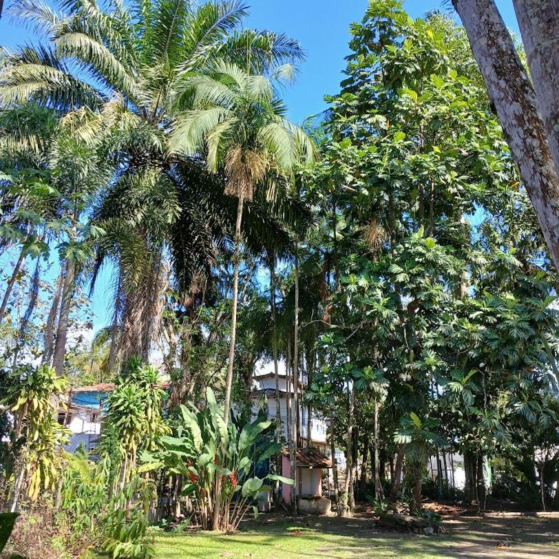 Villa Dos Passaros Paraty Hospedagem 외부 사진